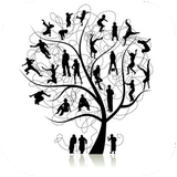 tehran.shajarenaameha