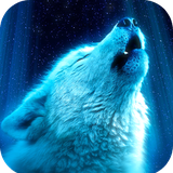 com.Wolf.wallpaper.wolfpicture.animal.wolfimage