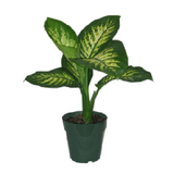 geah.aparteman.ddddddddddddddddddd