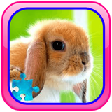 com.motalebian.animalspux