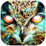 air.com.indiegoes.spiritanimal