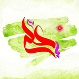 mohammad.panjapp.aliwallpaper