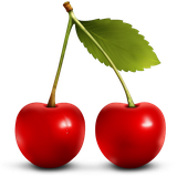 com.hpurgadri.mywords