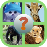 com.hamdysrour.picswordtrytoguess