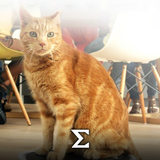 com.enigma.series.the_hidden_lives_of_pets