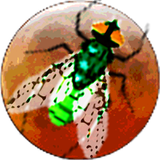 com.revigames.galacticinsects