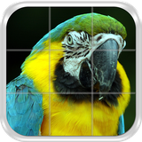 com.blueyellowstudios.birdspuzzlefree