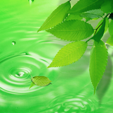 com.blackbirdwallpapers.leaves3d