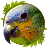 ir.dieselapp.animalsong