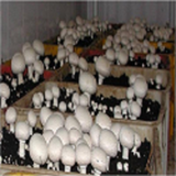 com.azparvareshgharchtakhorakegharch.azparvareshgharchtakhorakegharch