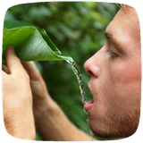 com.Wilderness.Survival.Skills.Tips