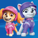 saibork.team.pawstar