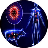 com.khorshid_tx.anfolanzakhoki