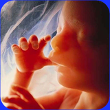 ghah.tasirearameshmadarbarjanan