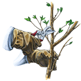 ir.amozesh.sahehe.haras.kardan.d