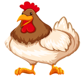 ir.parvaresh.morgh.bome.ba.sode.zead.d