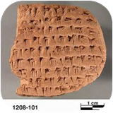 bmw.adabiatepaarsiemiane