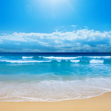 net.headnum.kream.gothememaker.lite.gtm79f484cee2c499a38dd9c9abb7e15097