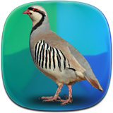 com.phoinix_books_h.kabk