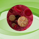 ir.alimoradian.charbikhon