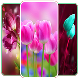 com.khamarnache.flowerlivewallpaper.offline