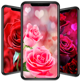 com.nicehdapps.rose.red.flower.wallpaper.HD