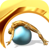 ir.tinasoft.swiss_ball_exercises