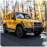 apps2016.liwp.merceeds1410