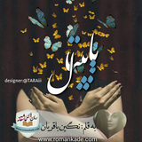 ir.ali.gholami.papital