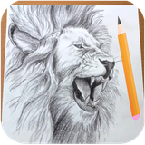 com.sketchdrawstudioz.howtodrawlion