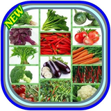com.cultivationofvegetables.akiraapp