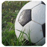 ir.tinasoft.football_training