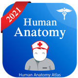 com.humananatomy.anatomyposition