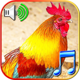 com.bestringingcninc.funalmrt