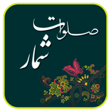 p30coder.salavatshomar