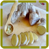 ginger.jengibre.jengibre