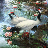 com.dakshapps.whitebirds