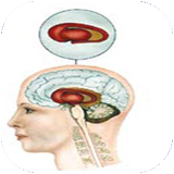 folad.bimarihayeasabi