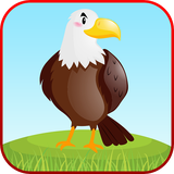 com.thelearningapps.birdskingdompark