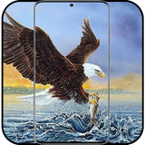 com.eagle.wallpaper.eaglebestwallpaper