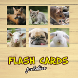 com.andynosoft.flashcards