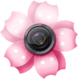 com.LovelySakuraPictureFrames