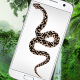 com.just4funanimals.snakeonscreen