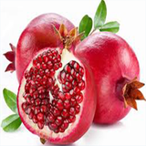 ir.rosan.iran2017.pezeshkyar