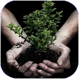 su.raveshhaykashtgiyahan