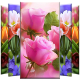 com.andromo.dev623845.app675508