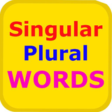 com.ilyas.ilyasapps.singularpluralwords