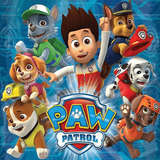 ir.darchinstudio.pawcarton