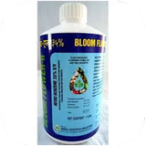 shafagh.nitrobenzenha