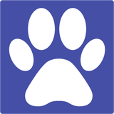 grant.mov.player.android